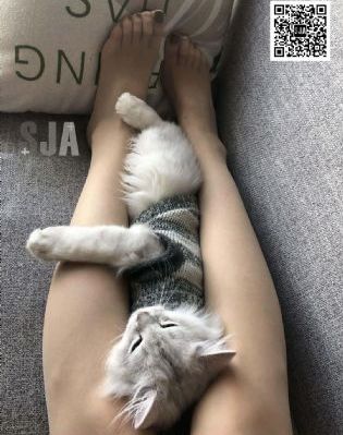 日本在线观看完整版_剧情片在线观看电视